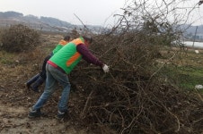 순창군 인계면자율방재단, 동촌마을 앞 위험수목 정비
