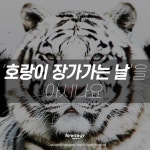 [카드뉴스] ‘호랑이 장가가는 날’을 아시나요