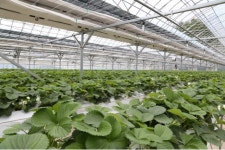 무주군,  소득작목 신기술 보급 만전