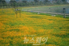 향기나는 장성 옐로우시티 창조사업’ 청사진 나왔다!