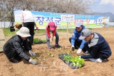 옐로우시티 장성에서 주말 텃밭 가꾸세요~