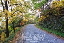 화순군, 너릿재 옛길 명품거리 조성 ‘탄력’