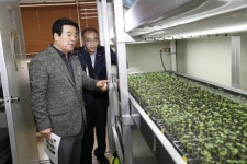 보성군, 우량 씨감자 생산공급체계 개선