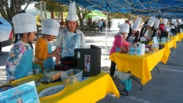 임실치즈테마파크, 2017 대표관광지 육성사업추진