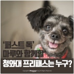 [카드뉴스] ‘퍼스트 독’ 마루와 함께할 청와대 프리패스는 누구?