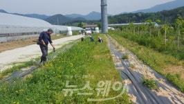 담양 월산면, 싱그러운 5월을 가꾸다