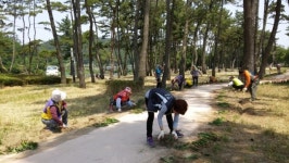 나주시, 드들강 솔밭공원에 가을 꽃 대량 식재