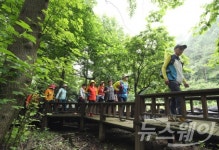 강진군, “비밀의 정원‘초당림’으로 놀러오세요”