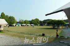 장성군, 편백나무로 마을형 일자리 만든다