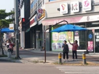 영광군, 터미널사거리 횡단보도에 대형파라솔 설치