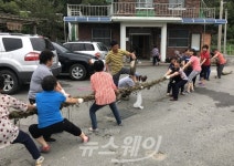 담양 무정면, 칡넝쿨 줄다리기로 전통을 잇다