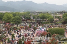 2017 곡성관광문화 200人 주민원탁토론회 개최