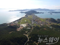 네이버 검색 결과 사진 2
