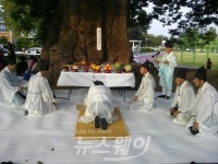 담양군, 천년 느티 대동한마당 행사 개최