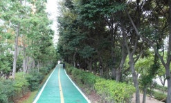 순천시, 2017년 녹색 우수도시 선정