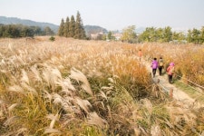 가을 정취 가득한 청암산! 에코라운드에서 힐링하세요!!