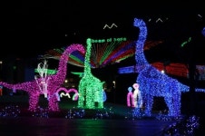 보성군, ‘제15회 보성차밭 빛축제’ 개최