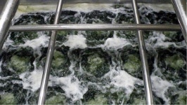 장흥군, 정남진장흥매생이(주) 가공공장 준공식 개최