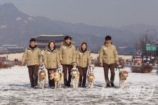 [NW포토]2018 황금개띠해, ‘보행훈련 시범 보이는 예비 안내견’