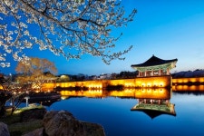 경북도, ‘평창코레일패스’ 연계 경주시티투어 무료 탑승행사