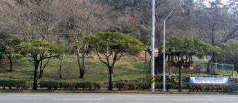 여수시, 봄맞이 도로변 가로수 ‘새단장’