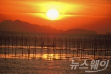 진도군, 1억 원 이상 고소득 어업인 373명
