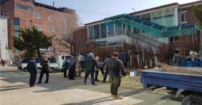 군위군산림조합(4종) | 군위군산림조합 나무시장 활기