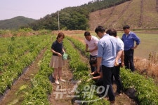 장성군, 농업인 현장 기술지원 출장 서비스 실시