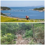 전남 달마고도미르마루청산도, 전국 10대 걷기 좋은 길에 선정