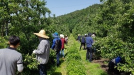 장수군, 영농철 맞아 농촌일손돕기 나서