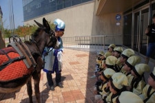 나주 복암리고분전시관, ‘두힐동물농장’ 체험 진행