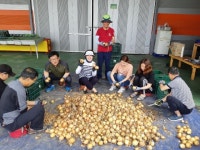 군산시 농산물유통과 직원들, 농번기 농촌일손 돕기 구슬땀!