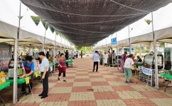 aT, ‘1도 1대표 직거래장터’ 충북도 선정 장터개장식 및 운영 지원
