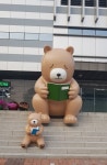 영천시립도서관 책곰이와 함께 미래를 꿈꾸다