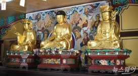 진도 쌍계사 목조석가여래삼존좌상 보물 지정 된다