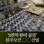 [카드뉴스]‘5천억 원이 꿈틀’ 블루오션 ○○산업