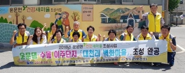 청도군 운문면, 대천리 벽화마을조성