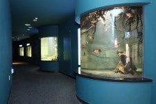 무주군, 반디랜드 수족관 개장