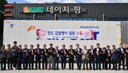 청도 감말랭이, 일본 입맛 잡는다