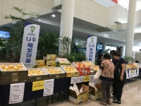 추석선물 ‘정보화마을 직거래장터에서 나주배’ 인기