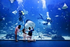한화 아쿠아플라넷 일산, ‘미션 아쿠아’ 패키지 선보여