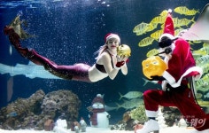 [NW포토]한화 아쿠아플라넷63, 산타와 인어가 전하는 황금돼지 福 받으세요!