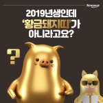 [카드뉴스]2019년생인데 ‘황금돼지띠’가 아니라고요?