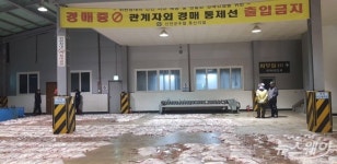 '흑산 홍어' 대풍...어민들, 가격 하락으로 ‘한숨’