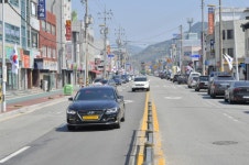 순창군, ‘중앙로 지중화 사업’ 일환 가로수 제거 마무리