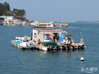 수상 임시 생활 25년 만에 육지로...‘감사의 눈물’