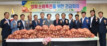 농협 광주지역 조합장, ‘양파소비촉진 긴급 회의’ 개최