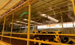 경산시, 축사 환경개선 통해 폭염 피해 선제적 대응