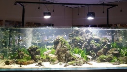 경북토속어류센터, ‘한국관상어산업박람회’서 특별전시관 운영