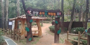 안양시, 관양동 관악산자락에 ‘유아숲체험원’ 준공